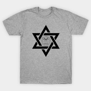 Clark University Against College Antisemitism T-Shirt